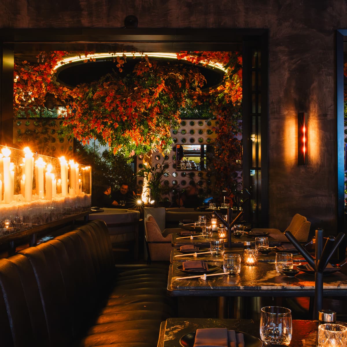 Gastronomic Experience